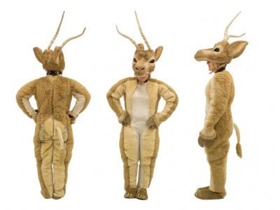 c335-antelope