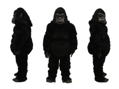 c374-gorilla