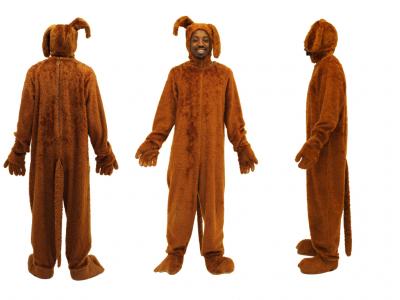 c718-brown-bunny