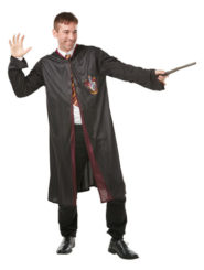 Adult Gryffindor Harry Potter Costume